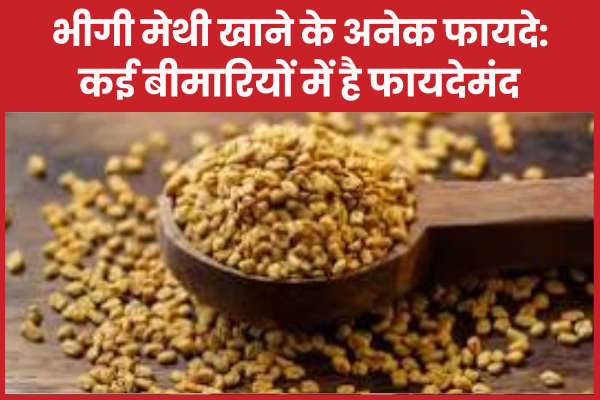 भीगी मेथी खाने के अनेक फायदे:कई बीमारियों में है फायदेमंद फायदेमंद