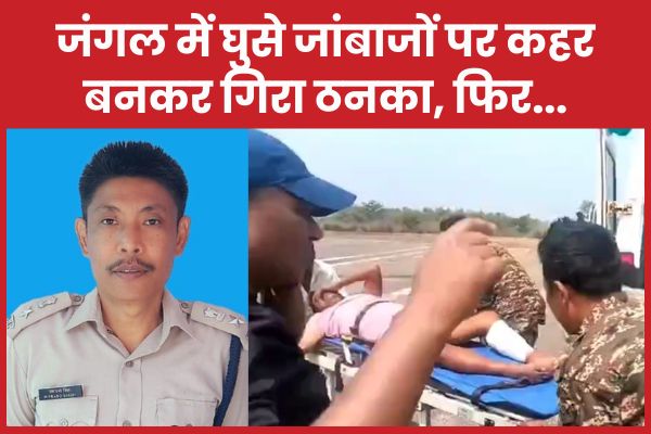 जंगल में घुसे जांबाजों पर कहर बनकर गिरा ठनका, फिर… जंगल