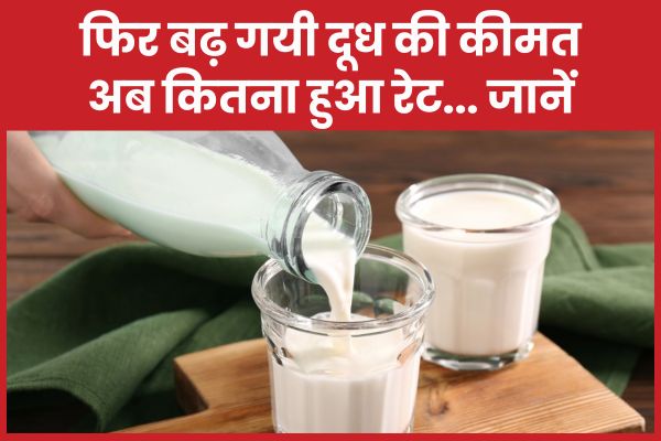 फिर बढ़ गयी दूध की कीमत, अब कितना हुआ रेट… जानें सुधा