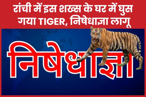 रांची में इस शख्स के घर में घुस गया Tiger, निषेधाज्ञा लागू रांची