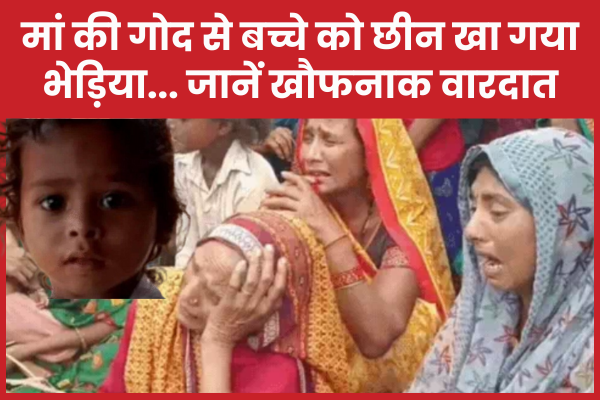 मां की गोद से बच्चे को छीन खा गया भेड़िया… जानें खौफनाक वारदात मां