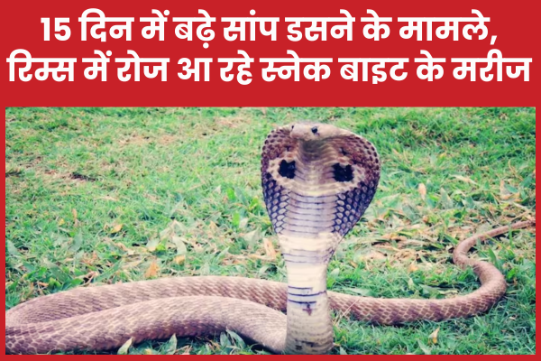 15 दिन में बढ़े सांप डसने के मामले, रिम्स में रोज आ रहे स्नेक बाइट के मरीज रिम्स