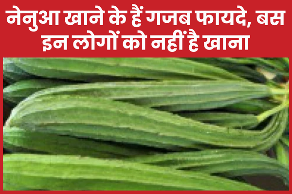 नेनुआ खाने के हैं गजब फायदे, बस इन लोगों को नहीं है खाना तुरई