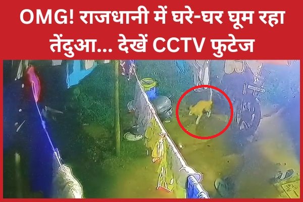 OMG! राजधानी में घरे-घर घूम रहा तेंदुआ… देखें CCTV फुटेज राजधानी