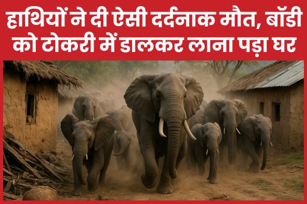 हाथियों ने दी ऐसी दर्दनाक मौत, बॉडी को टोकरी में डालकर लाना पड़ा घर हाथियों