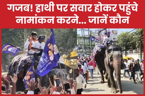 गजब! हाथी पर सवार होकर पहुंचे नामांकन करने… जानें कौन हाथी