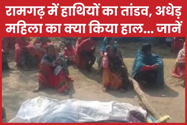 रामगढ़ में हाथियों का तांडव, अधेड़ महिला का क्या किया हाल… जानें हाथियों