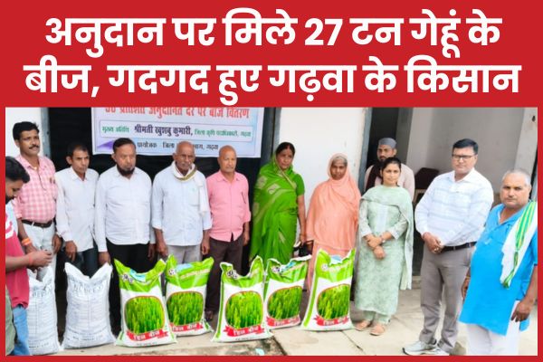 अनुदान पर मिले 27 टन गेहूं के बीज, गदगद हुए गढ़वा के किसान गेहूं