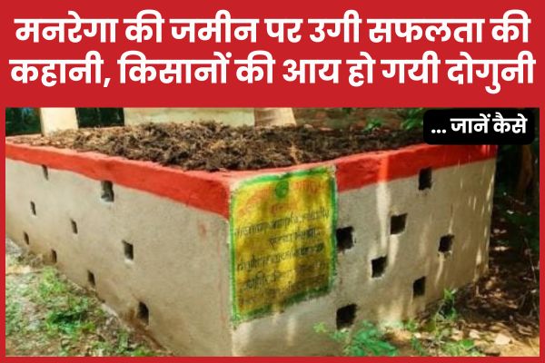 मनरेगा की जमीन पर उगी सफलता की कहानी, किसानों की आय हो गयी दोगुनी मनरेगा