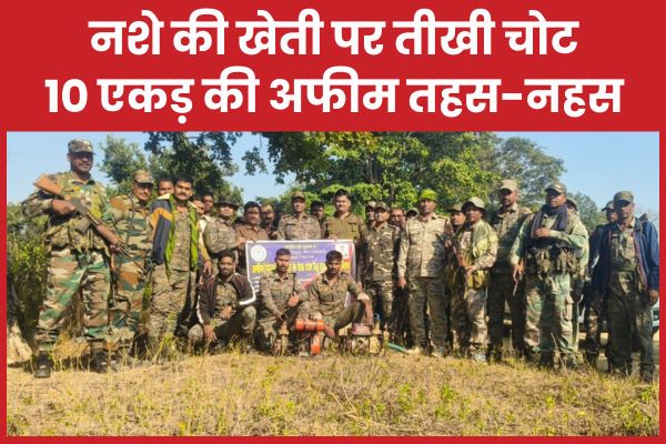 नशे की खेती पर तीखी चोट, 10 एकड़ की अफीम तहस-नहस अफीम