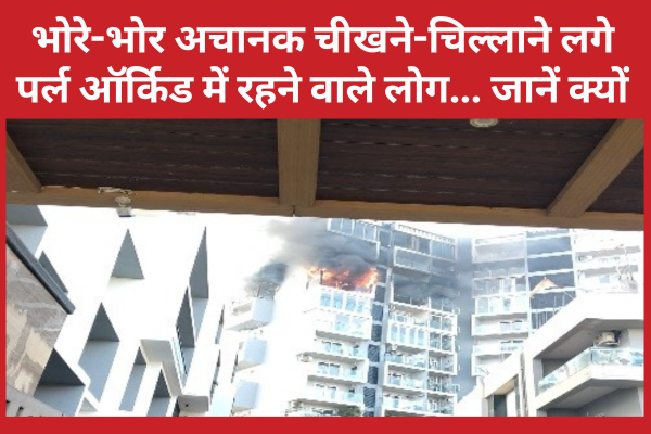 भोरे-भोर अचानक चीखने-चिल्लाने लगे पर्ल ऑर्किड में रहने वाले लोग… जानें क्यों