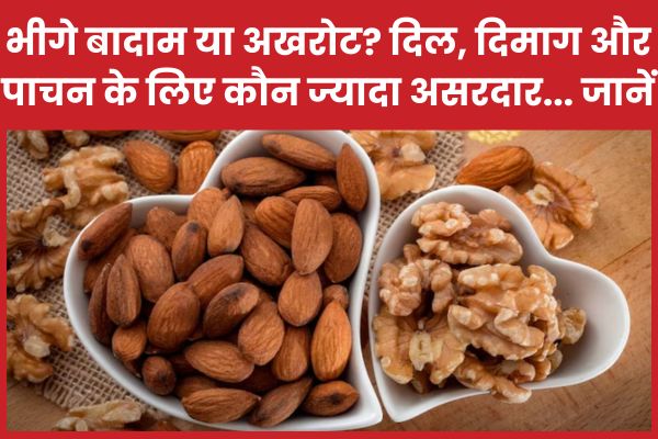 भीगे बादाम या अखरोट? दिल, दिमाग और पाचन के लिए कौन ज्यादा असरदार… जानें