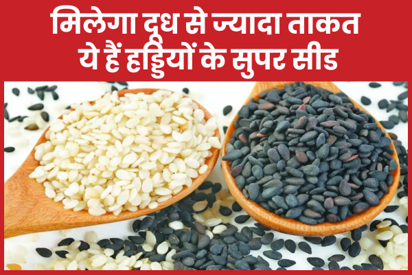 मिलेगा दूध से ज्यादा ताकत, ये हैं हड्डियों के सुपर सीड हड्डियों