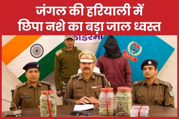 जंगल की हरियाली में छिपा नशे का बड़ा जाल ध्वस्त जंगल