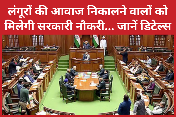 लंगूरों की आवाज निकालने वालों को मिलेगी सरकारी नौकरी… जानें डिटेल्स आवाज