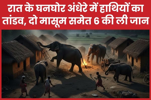 रात के घनघोर अंधेरे में हाथियों का तांडव, दो मासूम समेत छह की ली जान हाथियों