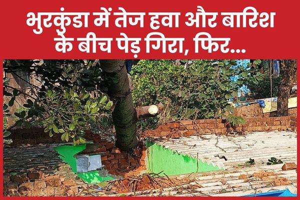 भुरकुंडा में तेज हवा और बारिश के बीच पेड़ गिरा, फिर… भुरकुंडा
