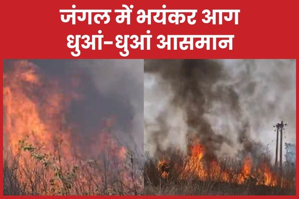 जंगल में भयंकर आग, धुआं-धुआं आसमान जंगल