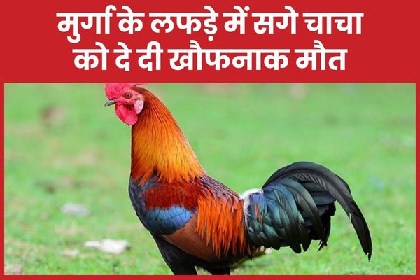 मुर्गा के लफड़े में सगे चाचा को दे दी खौफनाक मौ’त