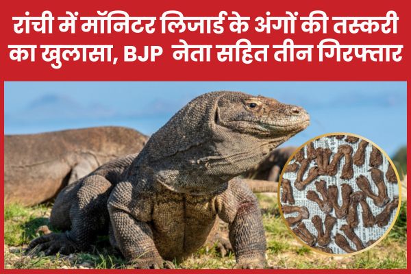रांची में मॉनिटर लिजार्ड के अंगों की तस्करी का खुलासा, BJP नेता सहित तीन गिरफ्तार