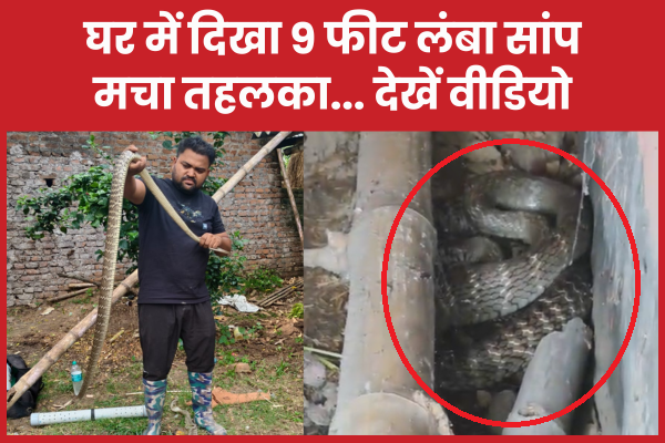 घर में दिखा 9 फीट लंबा सांप, मचा तहलका… देखें वीडियो सांप