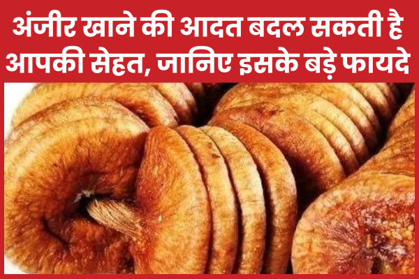 अंजीर खाने की आदत बदल सकती है आपकी सेहत, जानिए इसके बड़े फायदे अंजीर