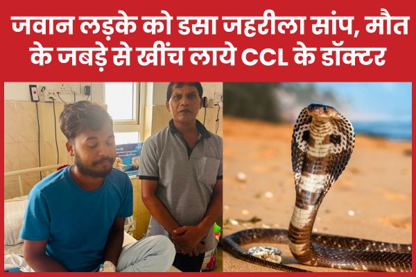 जवान लड़के को डसा जहरीला सांप, मौ’त के जबड़े से खींच लाये CCL के डॉक्टर