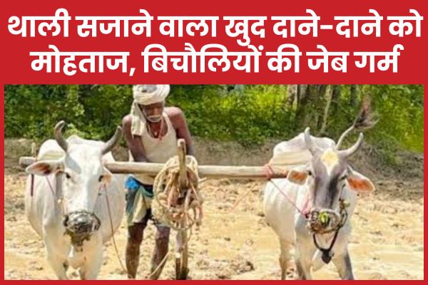 थाली सजाने वाला खुद दाने-दाने को मोहताज, बिचौलियों की जेब गर्म