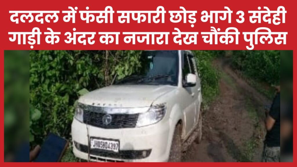 सफारी