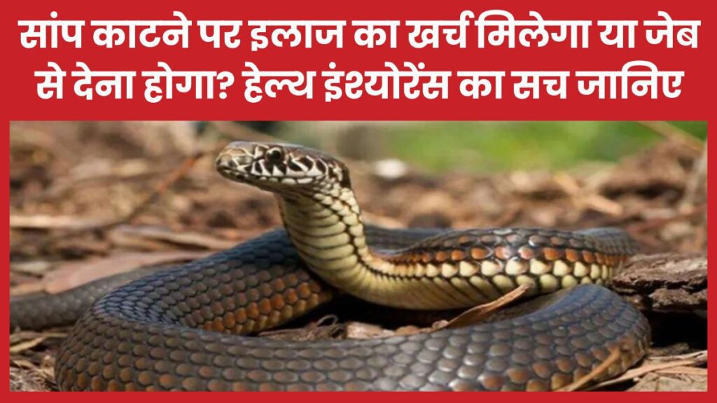 सांप काटने पर इलाज का खर्च मिलेगा या जेब से देना होगा? हेल्थ इंश्योरेंस का सच जानिए सांप