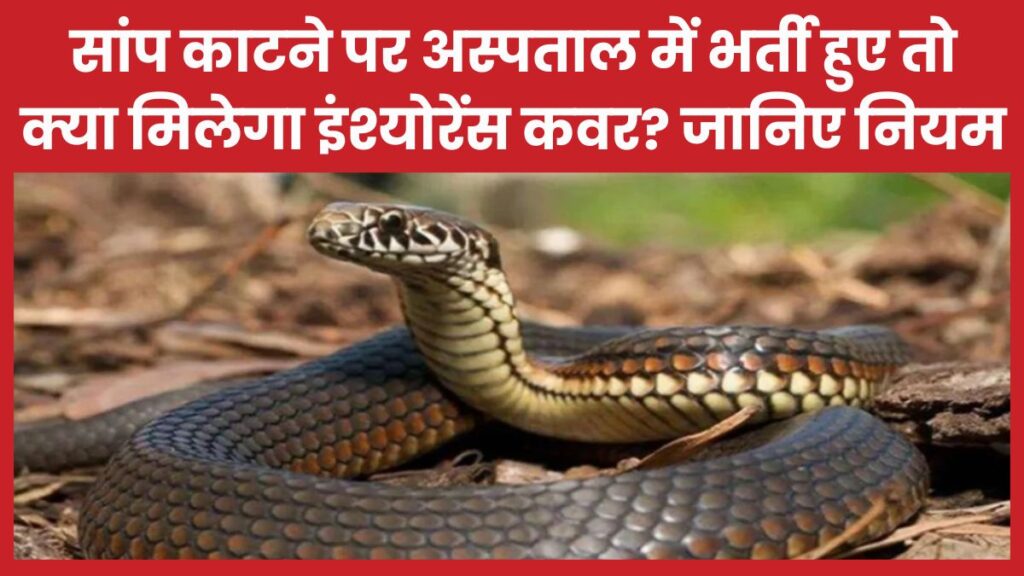सांप काटने पर अस्पताल में भर्ती हुए तो क्या मिलेगा इंश्योरेंस कवर? जानिए नियम सांप