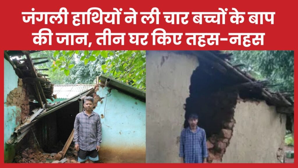 जंगली हाथियों ने ली चार बच्चों के बाप की जान, तीन घर किए तहस-नहस