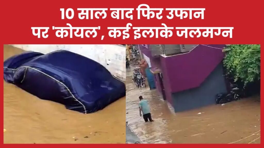 कोयल