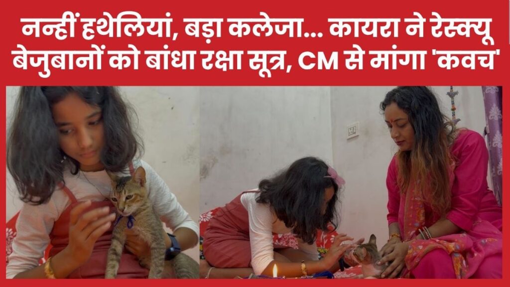 नन्हीं हथेलियां, बड़ा कलेजा… कायरा ने रेस्क्यू बेजुबानों को बांधा रक्षा सूत्र, CM से मांगा ‘कवच’