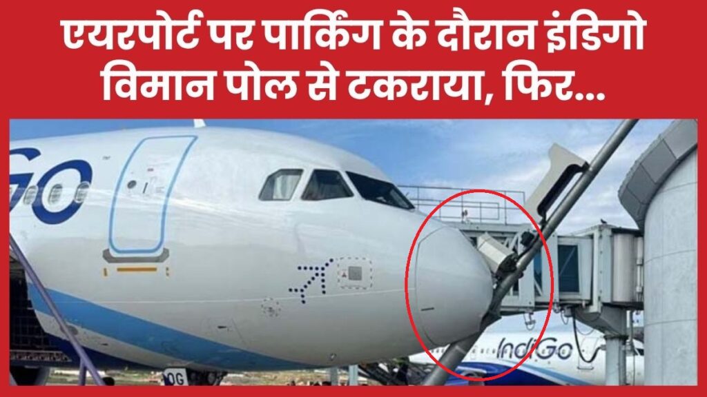 इंडिगो