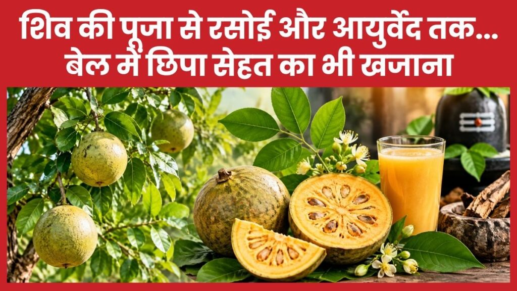 बेल