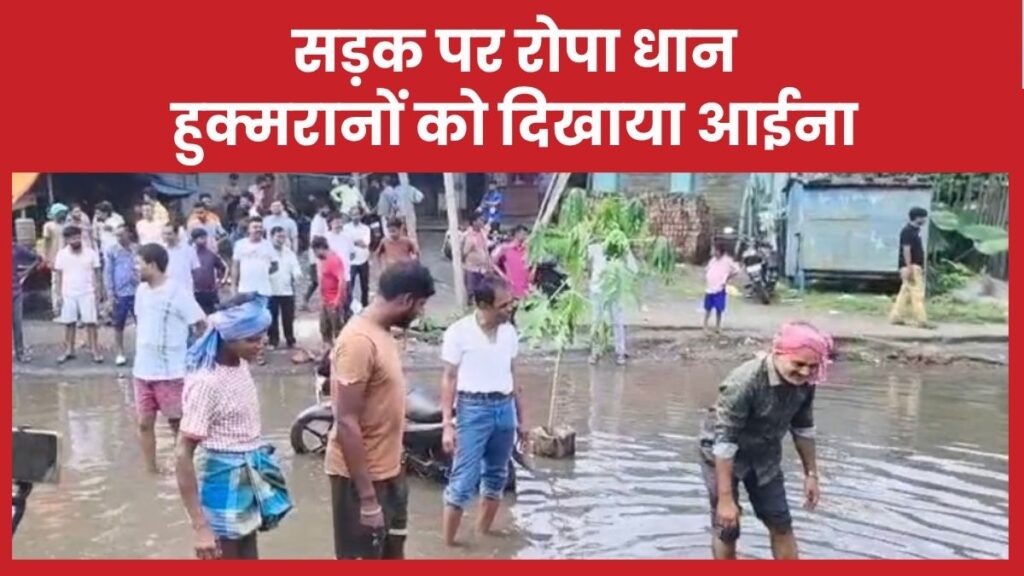 सड़क पर रोपा धान, हुक्मरानों को दिखाया आईना