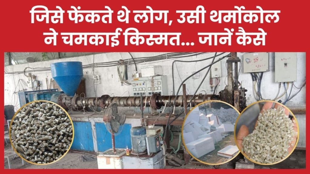 जिसे फेंकते थे लोग, उसी थर्मोकोल ने चमकाई किस्मत… जानें कैसे थर्मोकोल