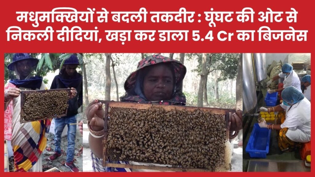 मधुमक्खियों से बदली तकदीर : घूंघट की ओट से निकली दीदियां, खड़ा कर डाला 5.4 Cr का बिजनेस जीविका