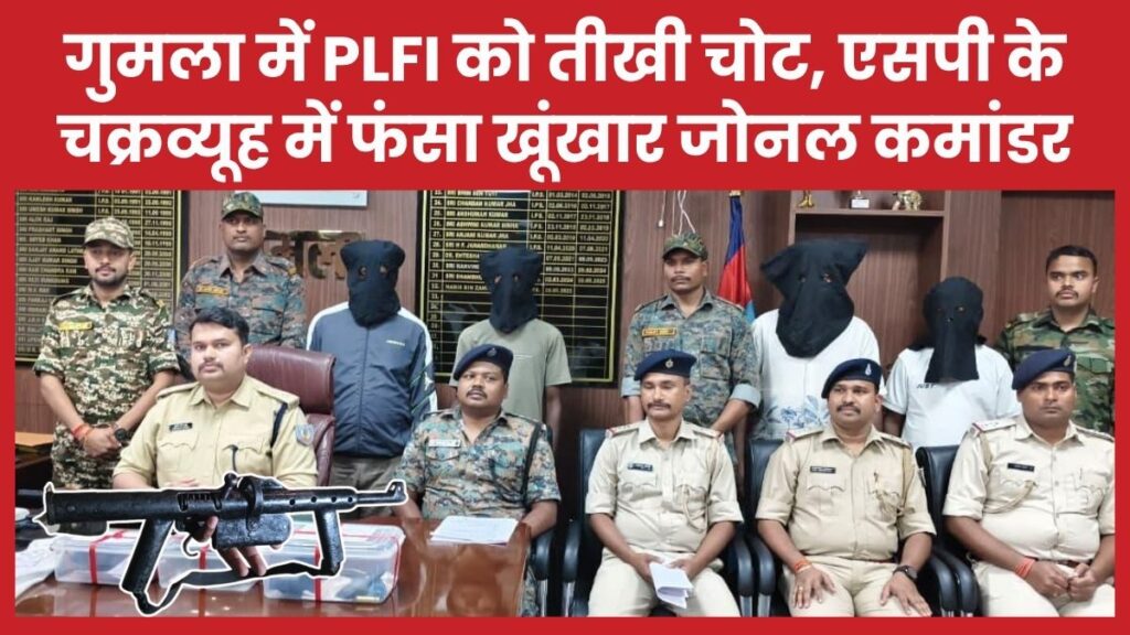 PLFI